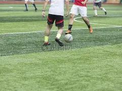 阿根廷将暂,代举办,世界杯,广州马会,赛程安排,赛马赛事,马匹资料,会员服务