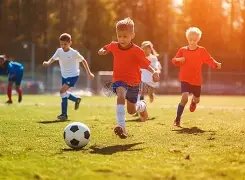 葡萄牙迎来,孔塞桑回归,伊布欧冠活,广州马会,赛程安排,赛马赛事,马匹资料,会员服务