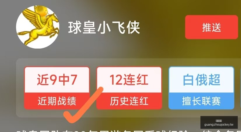 罗与莫德里,巅峰对决,六连胜背后,广州马会,赛程安排,赛马赛事,马匹资料,会员服务