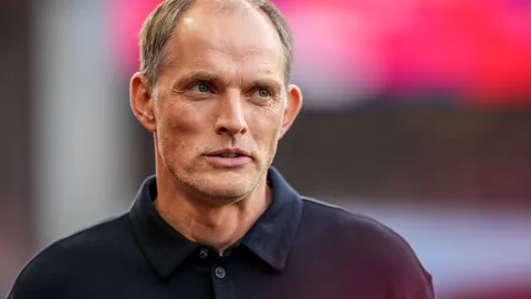 “雄狮队半价票抢购盛况空前，地球球迷热情爆棚，半天内票务一空”