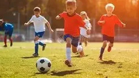 葡萄牙迎来孔塞桑回归，伊布欧冠活动将现身