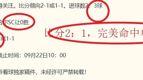 春季赛激战正酣，战队调整引热议